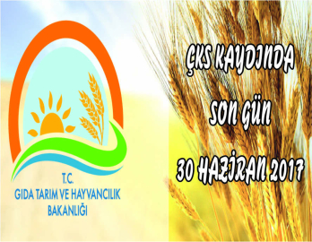 ÇKS Kayıtlarında Son Gün 30 Haziran 2017