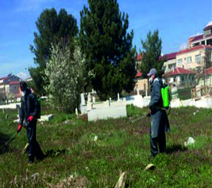 ilçemizdeki Mezarlıklar Bayrama Hazırlanıyor