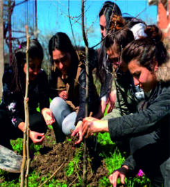 Kredi ve Yurtlar Kurumu Öğrencileri Fidanları Toprakla Buluşturdu