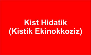 Kist Hidatik (Kistik Ekinokkoziz)