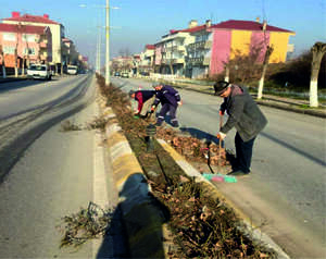 ilçemizde Budama ve Bakım Çalışmaları Devam Ediyor