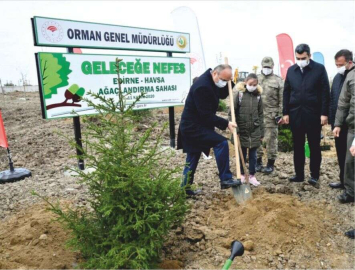 Bataklık Olan Bahçede Fidanlar Yeşerecek