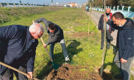 ilçemizde Fidan Dikim Çalışmaları Devam Ediyor