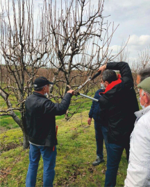 Meyve Ağaçlarında Budama Kursu'na Katılım Yoğun