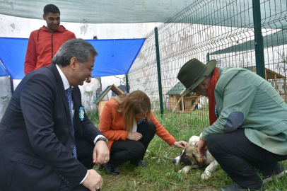 Otizmli çocuklar böyle sosyalleşecek