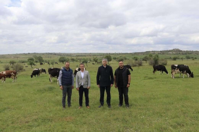 EDİRNE’DE MERA ISLAHI SÜRÜYOR