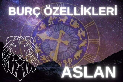 ASLAN BURCUNUN ÖZELLİKLERİ