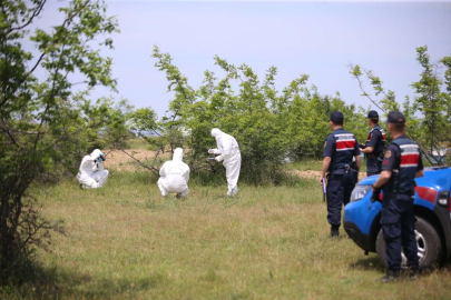 KIRKLARELİ'NDE ÇALILIK ALANDA PARÇALANMIŞ CESET BULUNDU