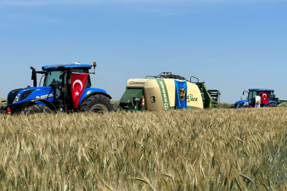 TRİTİKALE TANITIM VE TARLA GÜNÜ'NDE HASAT YAPILDI