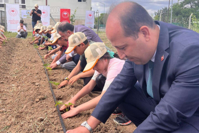 İLKOKUL ÖĞRENCİLERİ ÇİLEK FİDESİ DİKTİ