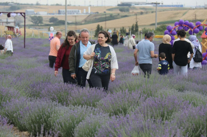 ERGENE’DE LAVANTA TARLA GÜNLERİ SÜRÜYOR