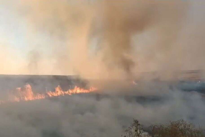 20 DÖNÜM ARPA KÜLE DÖNDÜ