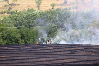 TRAKYADA 930 DÖNÜM BUĞDAY TARLASI YANDI