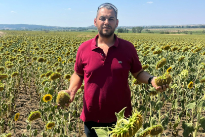 “AYÇİÇEK ÜRETİCİSİ GEÇEN YILI MUMLA ARAYACAK”