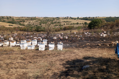 ORMANLIK ALANDA YANGIN ÇIKTI