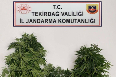 JANDARMA SUÇLULARA SAVAŞ AÇTI