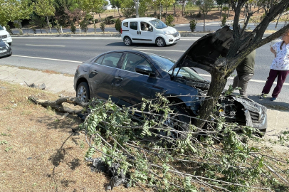 YOLDAN ÇIKAN OTOMOBİL AĞAÇLARA DALDI