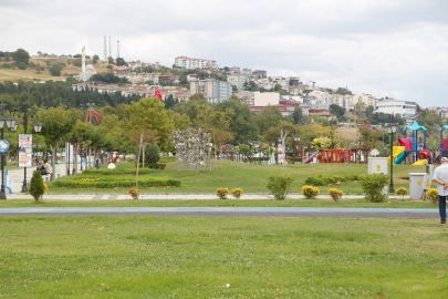 ŞEHİR PEYZAJLARINDA DOĞAL BİTKİ KULLANIMI ÖNERİSİ