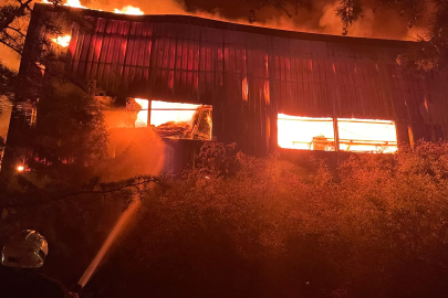 KIRKLARELİ'NDE ÇIKAN YANGINA MÜDAHALE EDİLİYOR