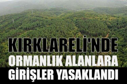 KIRKLARELİ'NDE ORMANLIK ALANLARA GİRİŞLER YASAKLANDI