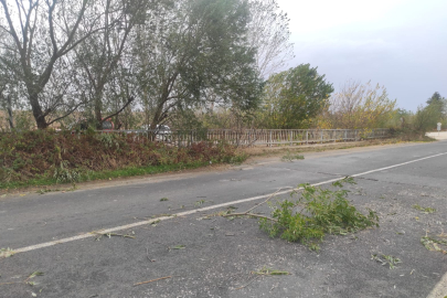 KOPAN AĞAÇ PARÇALARI, TRAFİĞİ TEHLİKEYE SOKTU