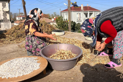 NAİPYUSUF KÖYÜNDE KURU FASULYE MESAİSİ