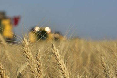 Edirne Ticaret Borsası fiyatları açıkladı