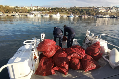 1,5 ton karakıllı midye ele geçirildi