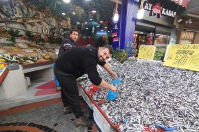 Hamsi bolluğu fiyatı düşürdü