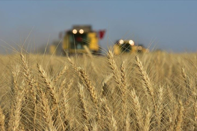 Edirne Ticaret Borsası fiyatları açıkladı