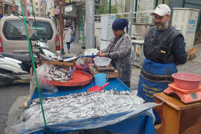 Hamsinin kilosu 50 liraya satılıyor