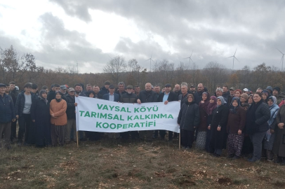 Taş ocağına karşı mücadele sürüyor