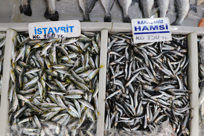 En çok talep gören balıklar hamsi ve istavrit