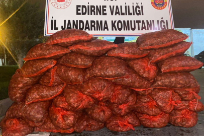 600 kilo kum midyesi ele geçirildi