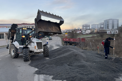 Edirne'de ayçiçeği yüklü traktör römorku devrildi