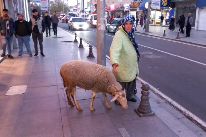 Her yere koyunu ile birlikte gidiyor