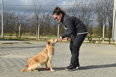 Lüleburgaz Belediyesi’nden bir ilk daha