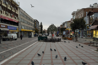 Soğuk hava sokakları boş bıraktı