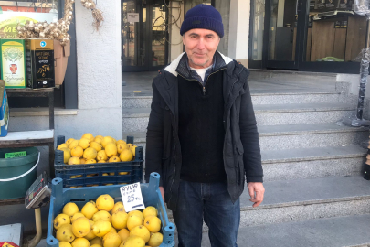 Ayvada bolluk yılı