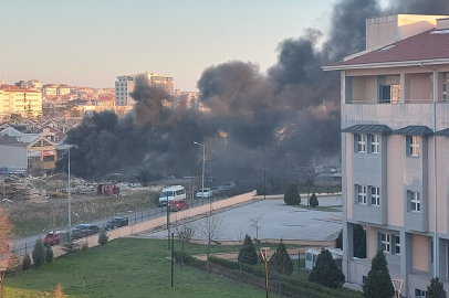 Görenler şaşkına döndü