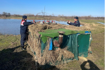 Jandarma ekiplerinden güme denetimi