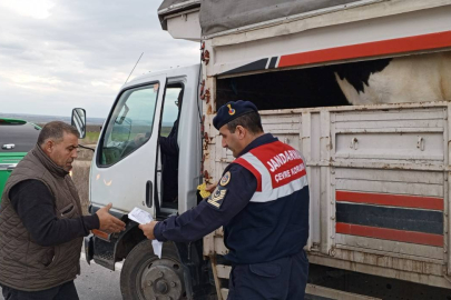 Hayvan taşımacılığı yapan araçlar kontrol edildi