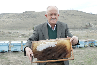 Arılardaki kayıplar üreticileri endişelendiriyor