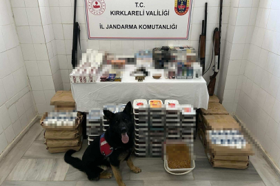 Tarihi obje ve ruhsatsız silahlar ele geçirildi