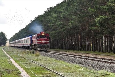 TCDD, tren yollarında ilaçlama yapacak