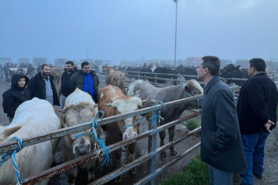 “Esnafımız pazarın dışarıya taşınmasını istemiyor”