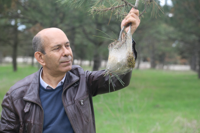 Prof. Dr. Tan, “Mutlaka önlem alınması gerekiyor”