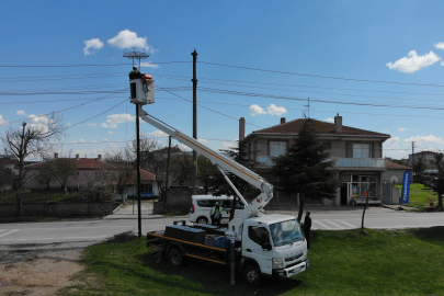 Güvenli göç güzergâhında leyleklerin yuvası hazır