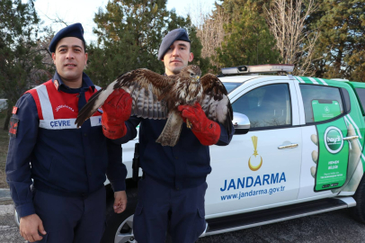 Jandarma Şahin’i kurtardı