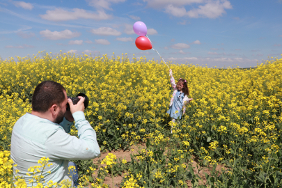 Kanola tarlaları fotoğraf tutkunlarını ağırlıyor